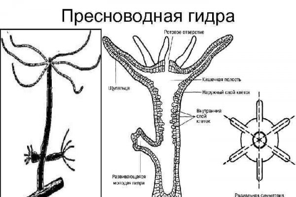 Найдется все kraken 2krn cc что это