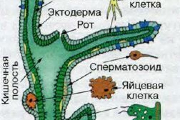 Кракен правила площадки